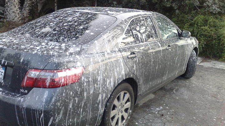 car paint damage from bird poo